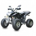 quad raptor 